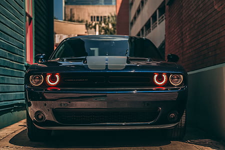 blue Dodge Challenger on concrete narrow pathway during daytime
