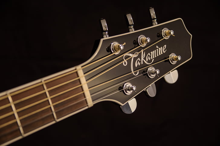 Brown and Black Takamine Guitar Headstock