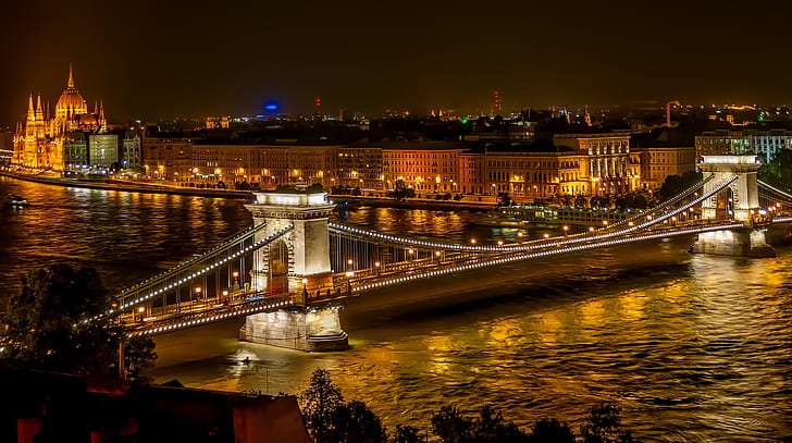 photo of bridge during night