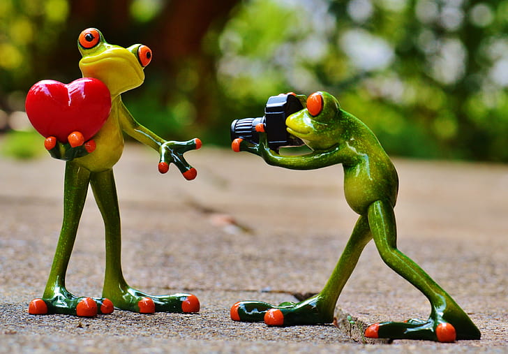 two green frog figures holding a heart and a camera