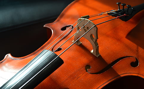 close up photography of brown violin