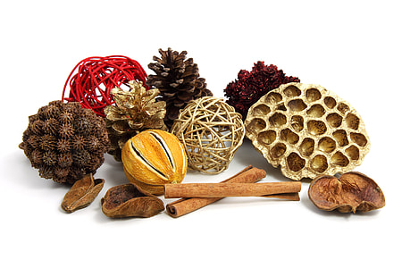assorted nuts and pine cones