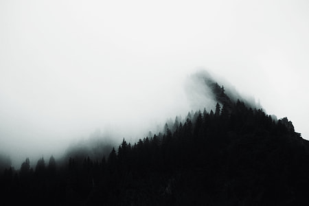 silhouette of mountain covered by fogs