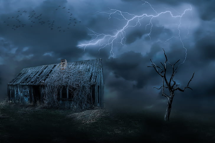 lightning over house and bare tree