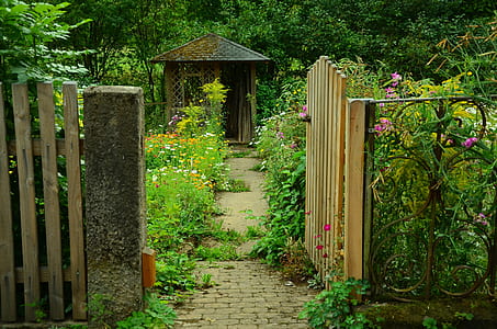 brown wooden gate open surrounded garden flower