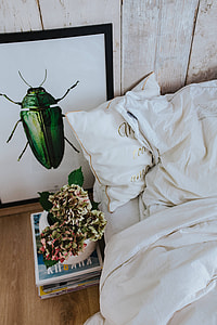 White bed sheets with a picture of a green beetle and a pot plant on a stack of magazines