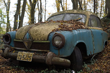 classic blue abandoned car in trees