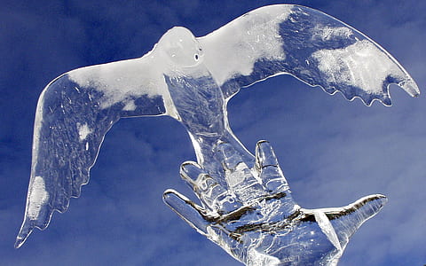 close up photo of eagle ice carving
