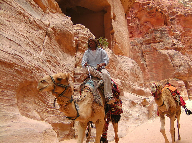 man camel back riding during daytime