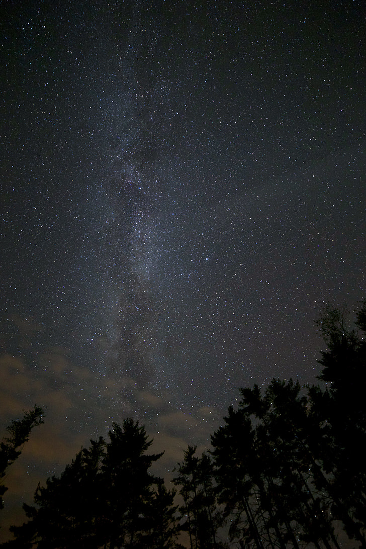 star above tall trees