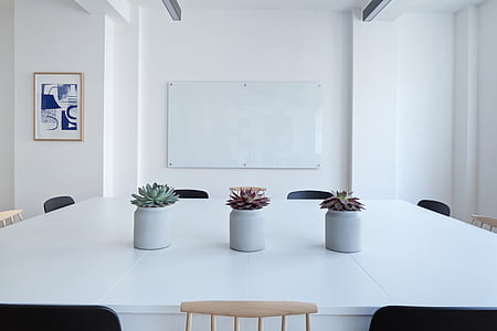 three succulent plants on white wooden table inside room
