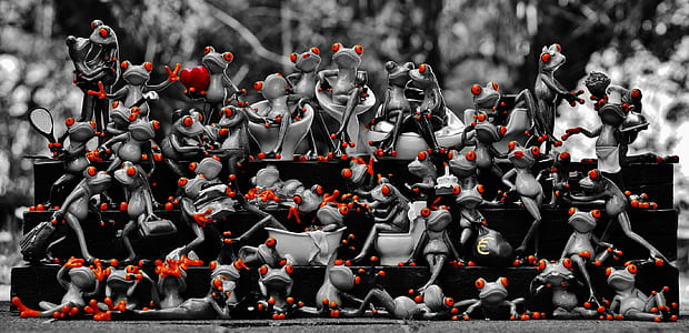 selective color photography of frogs