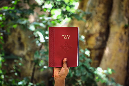selective focus photo of person holding red labeled book at daytime