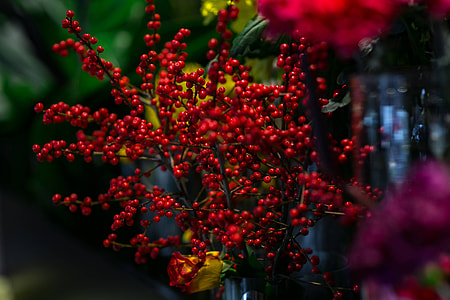 Red rowan with a colourful arrangement of flowers