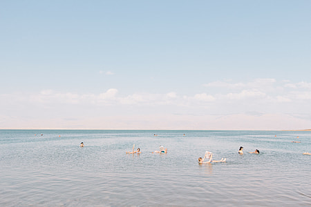 group of people swimming on dead sea during daytime