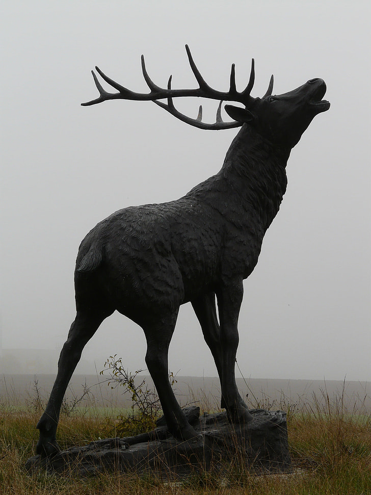 gray concrete deer statue