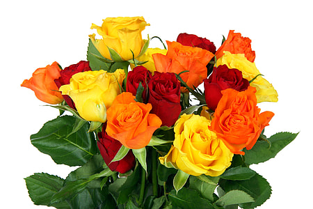 red, orange, and yellow roses