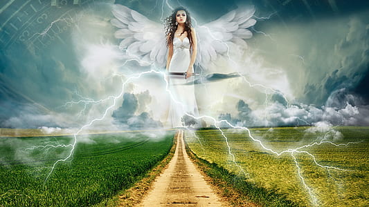 empty street in between of grass field with fairy on sky and lightning illustration