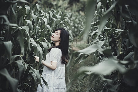 photo of woman wearing gray dress at the corn field