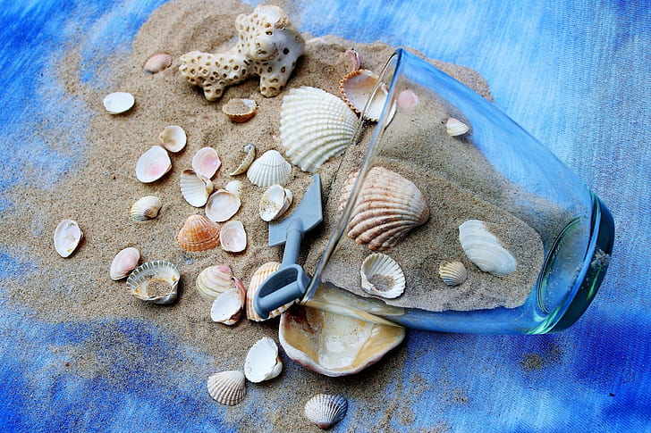 close up photo of clear drinking glass near sand full of seashell