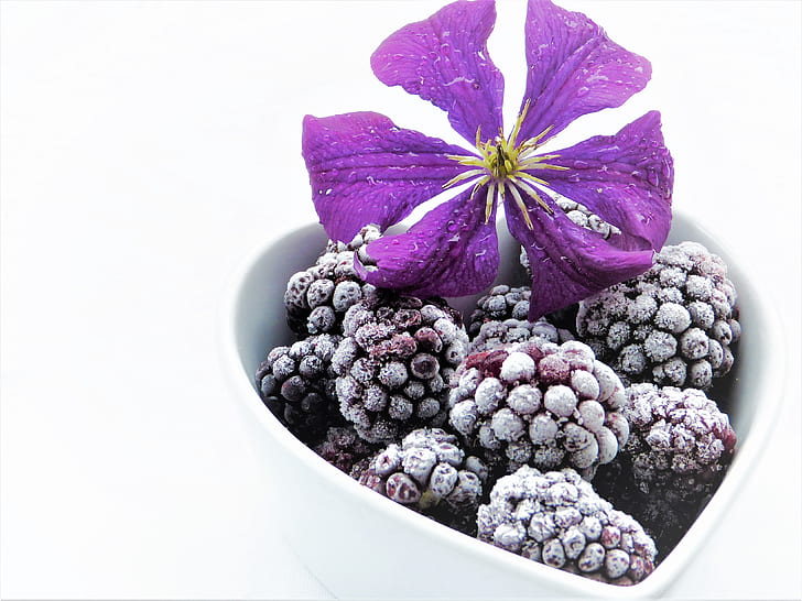 purple berries in white ceramic heart bowl