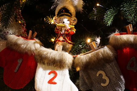 four assorted-color Christmas stockings near green Christmas tree
