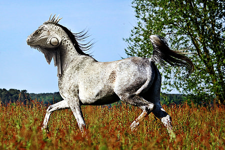 edited photo of white horse body with chameleon head