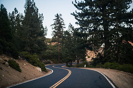 curvy asphalt road with trees on side of road