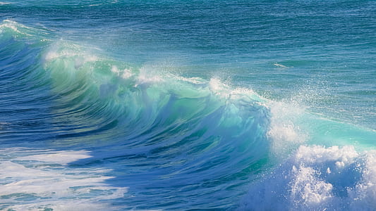 photo of seawave