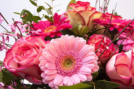 pink petal flower arrangement