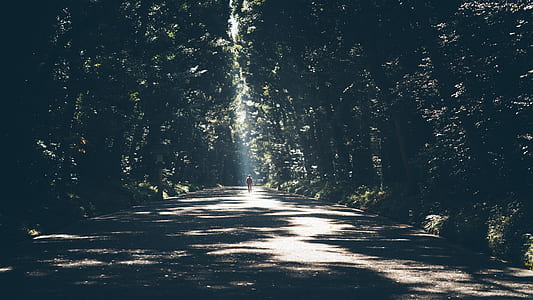 person standing in middle of asphalt road surrounded by trees