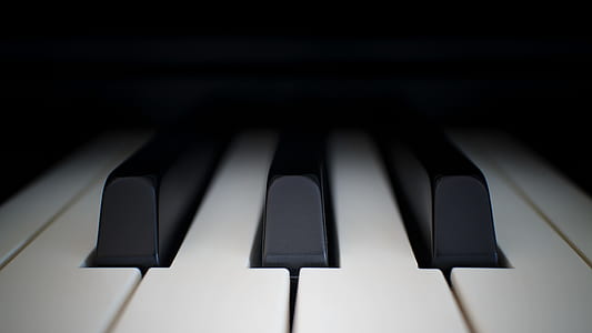 closeup photo of black and white keyboard