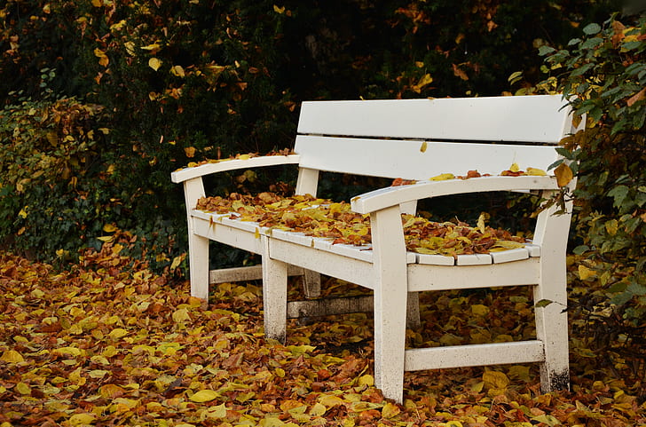 photo of white wooden bench white leaves