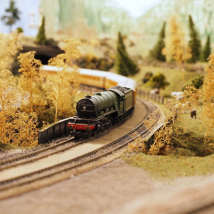 Black and Red Miniature Train Surrounded by Artificial Trees and Grass