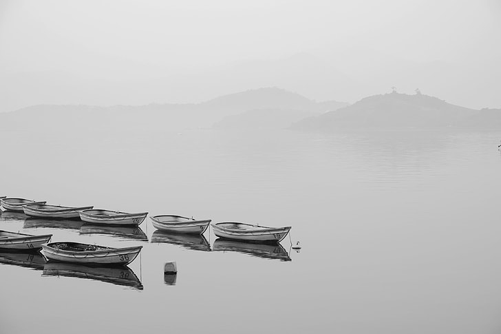 white and black boats on body of water