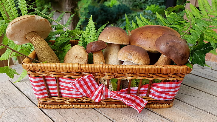 brown mushrooms in brown wicker basket