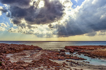 brown seashore under nimbus cumulus clouds photography