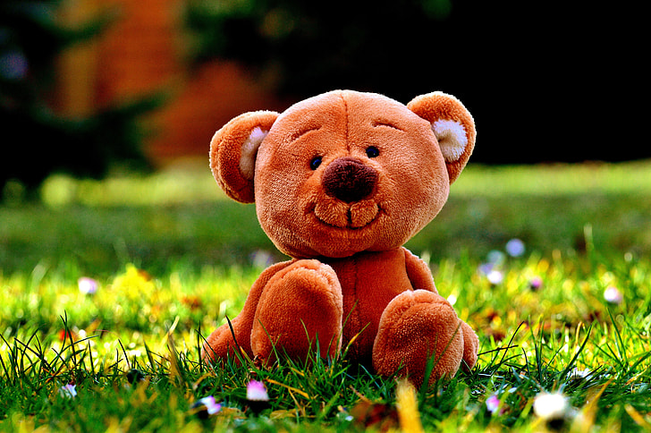 photography of brown bear plush toy on green grass