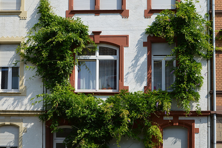 green plant arc collided on white apartment-type building
