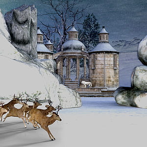 herd of brown deer on white ground in distance white wolf on beige concrete building painting