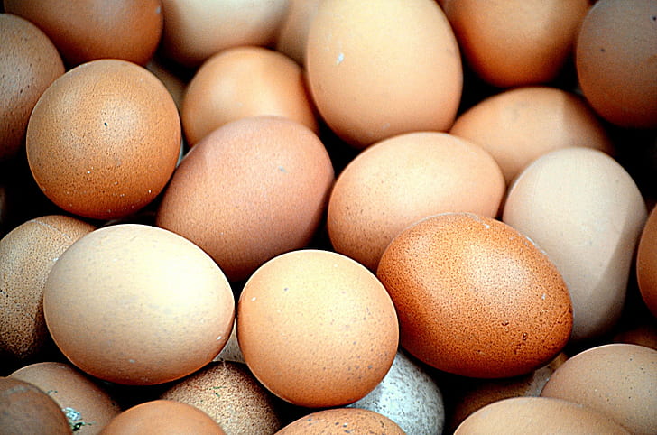 brown and beige egg lot