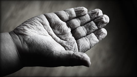 right human palm in grayscale photography