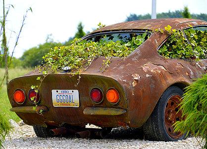 brown car surrounded with leaf plants