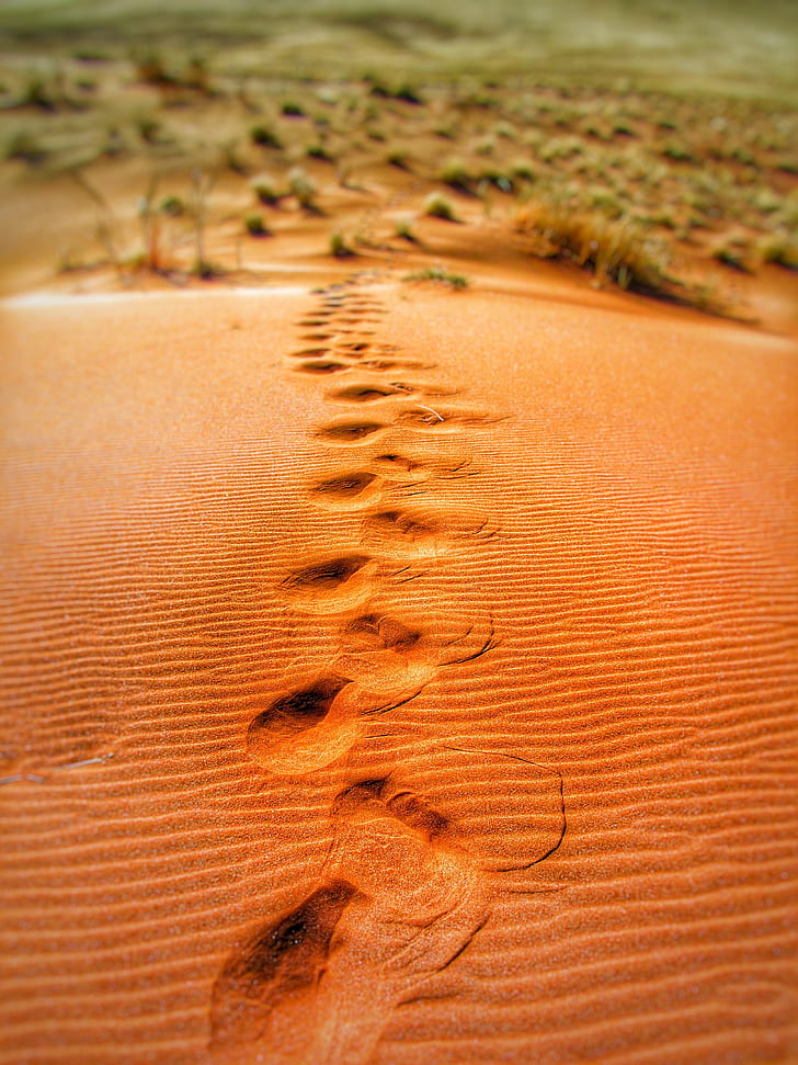 Foot Prints on Desert during Daytime
