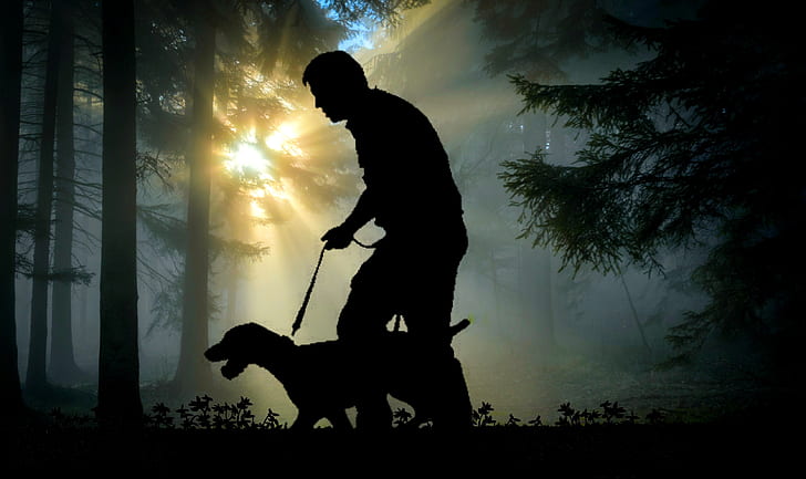 silhouette of a man holding a leash of dog in the woods with during golden hour