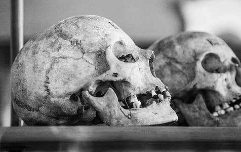 two human skulls