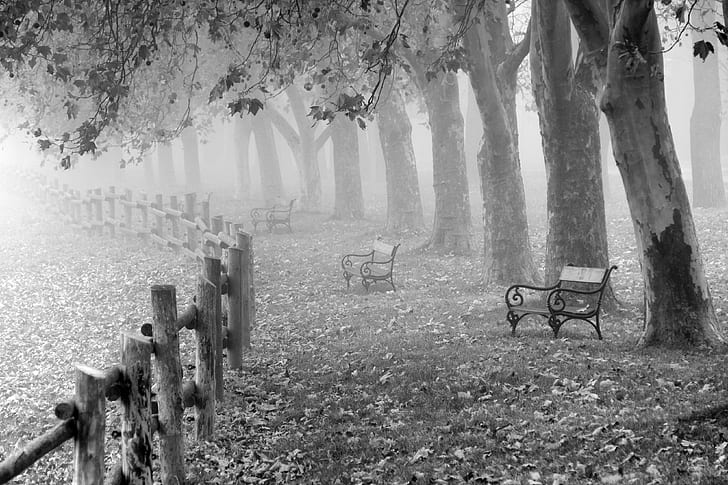 greyscale photo of bench near fence and trees