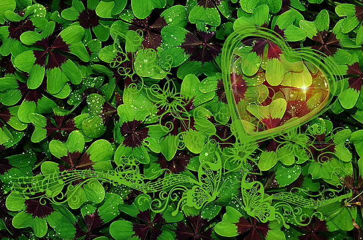 aerial view photography of green leaf plants