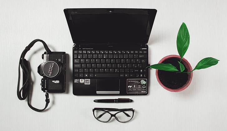 black laptop computer beside green leaf potted plant