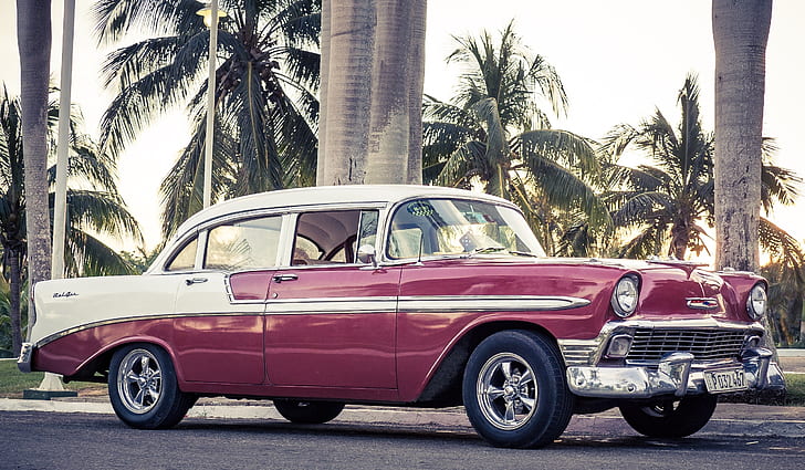 classic white and maroon sedan near palm trees